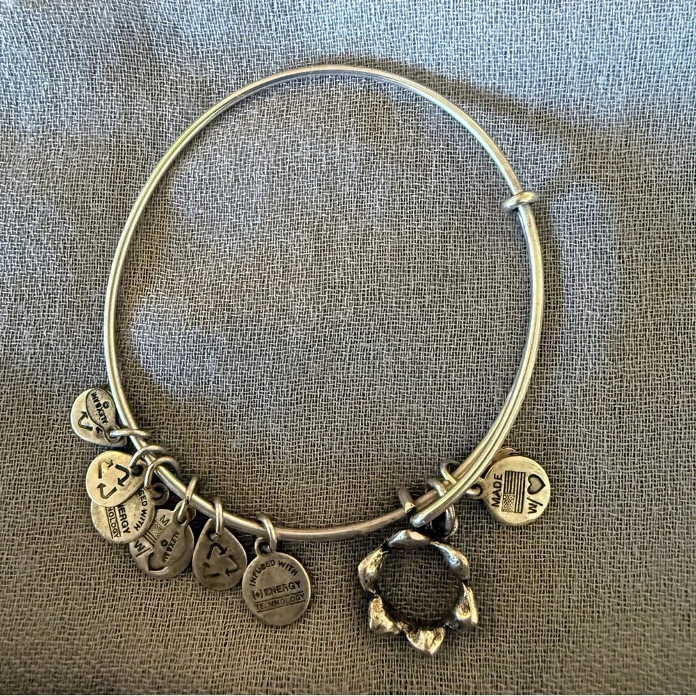 Alex and Ani Silver Charm Bangle Bracelet - Picture 2 of 4